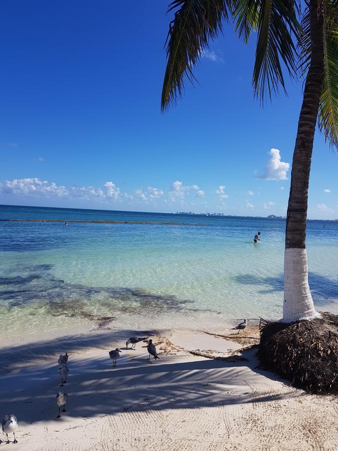 Suite Frente Al Mar Cancún Zewnętrze zdjęcie